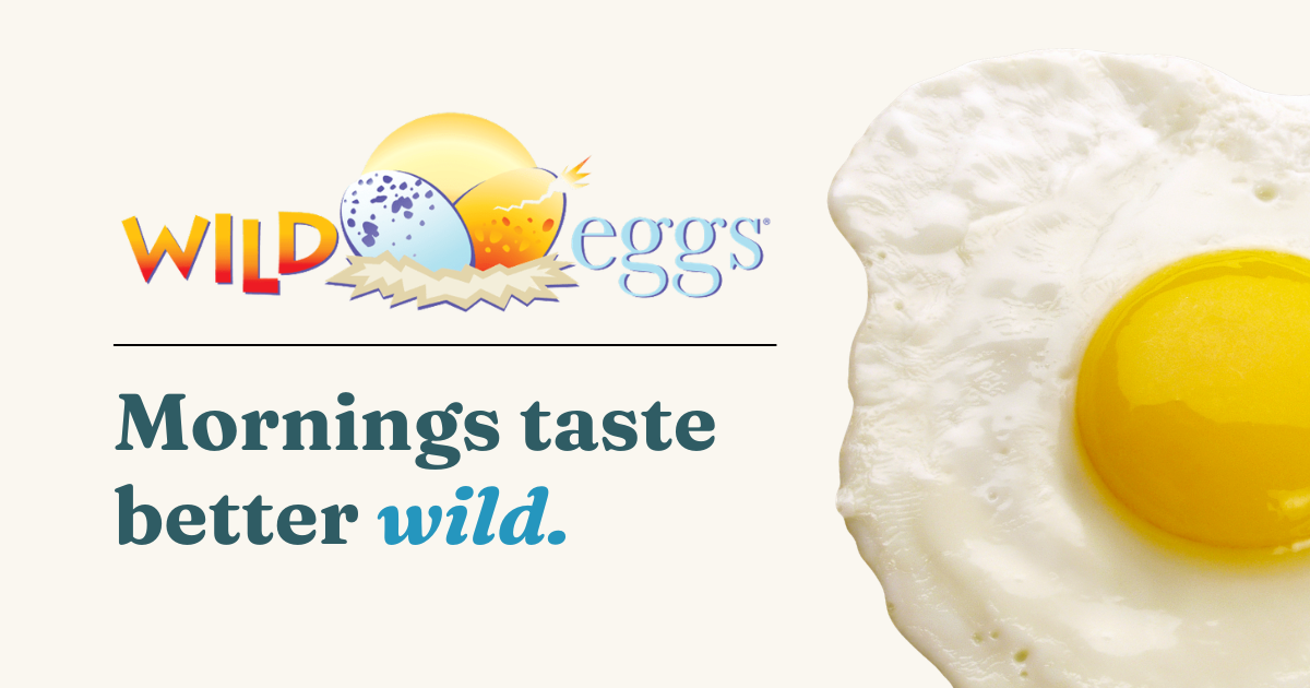 Wild Eggs photo 2