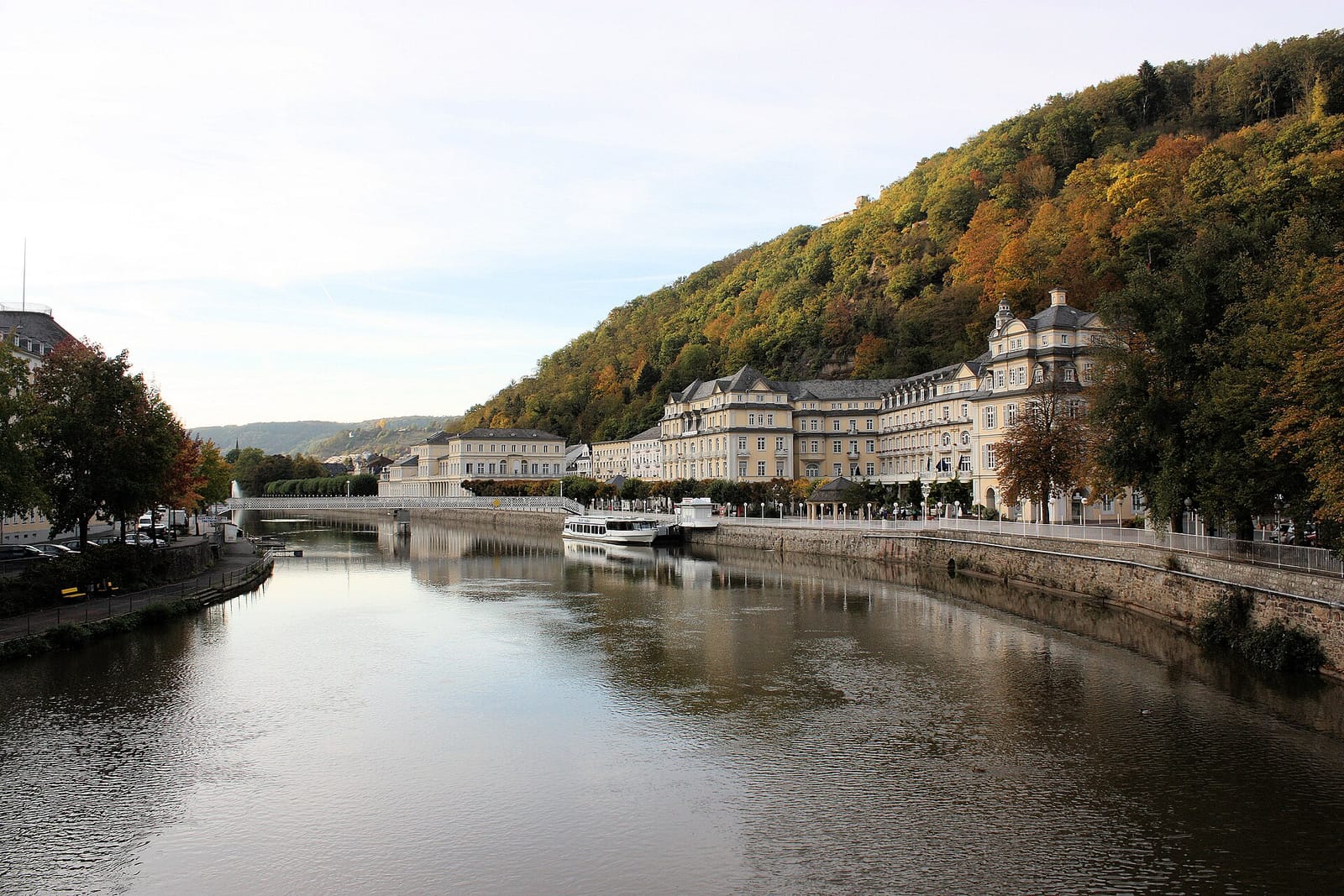 Estragon photo 4