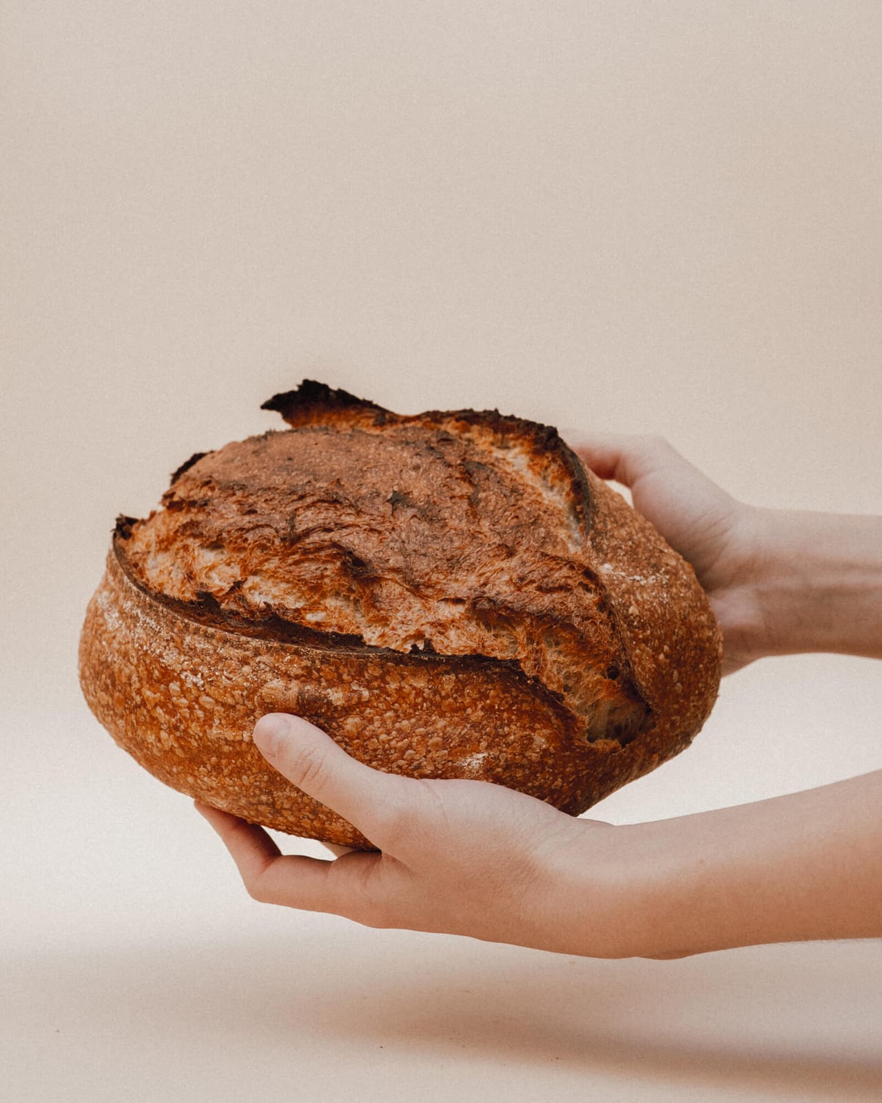 Rosevelvet Bakery