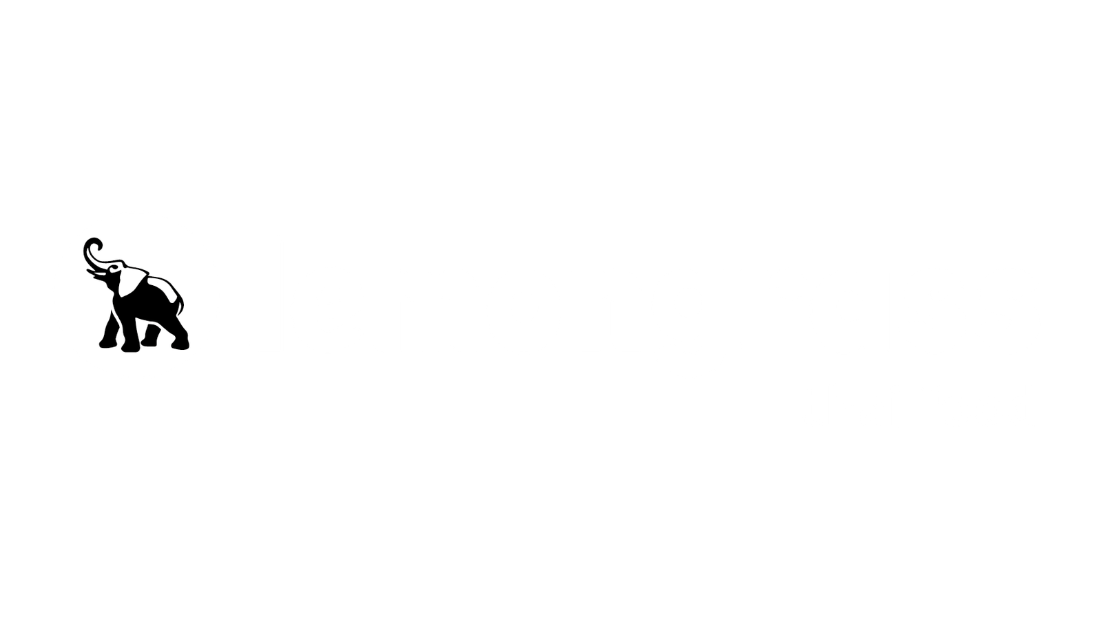 Lemongrass photo 1