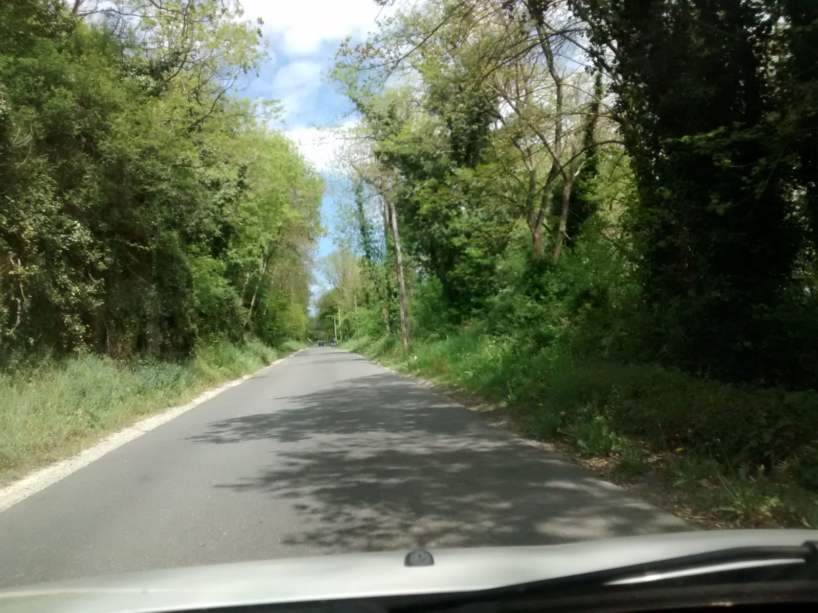 Les Rossignols