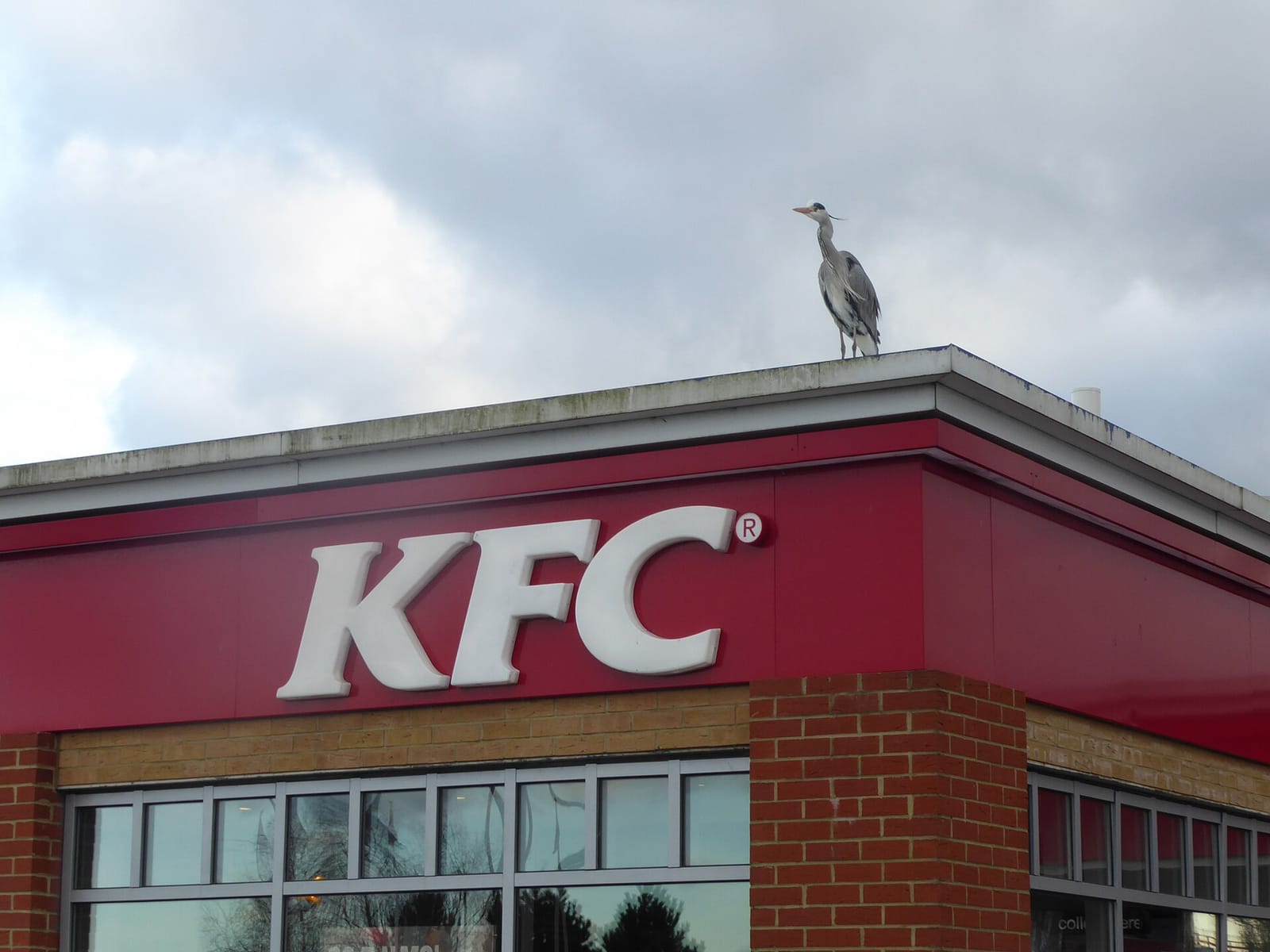 McDonald's photo 2