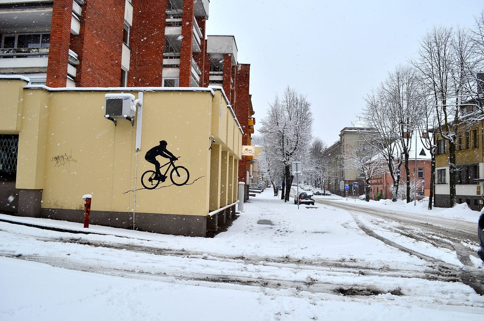Pelėdinė photo 3