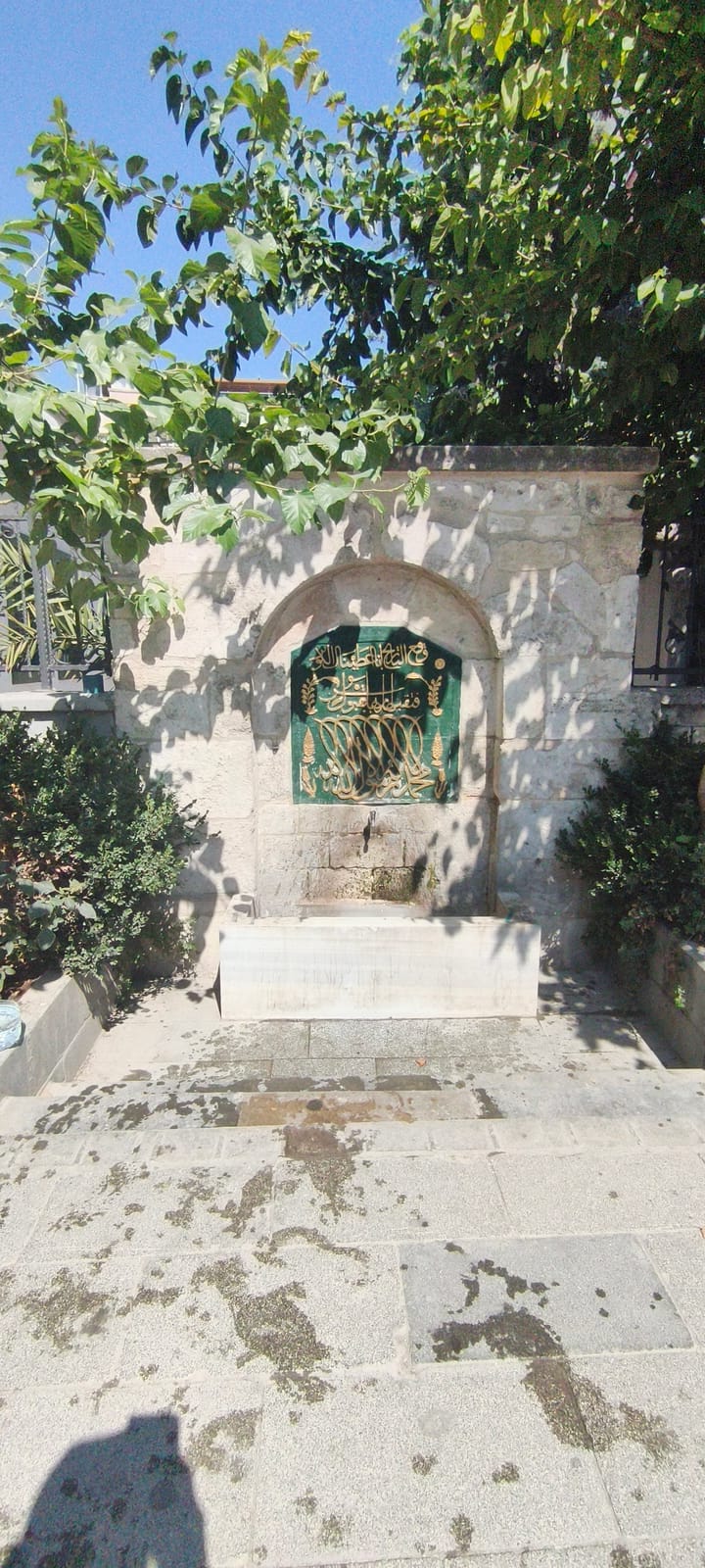 İmren photo 4