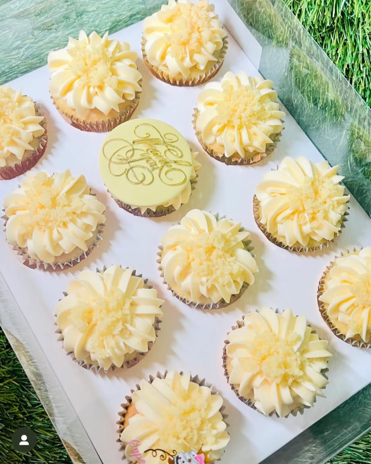 Cupcakes Creations