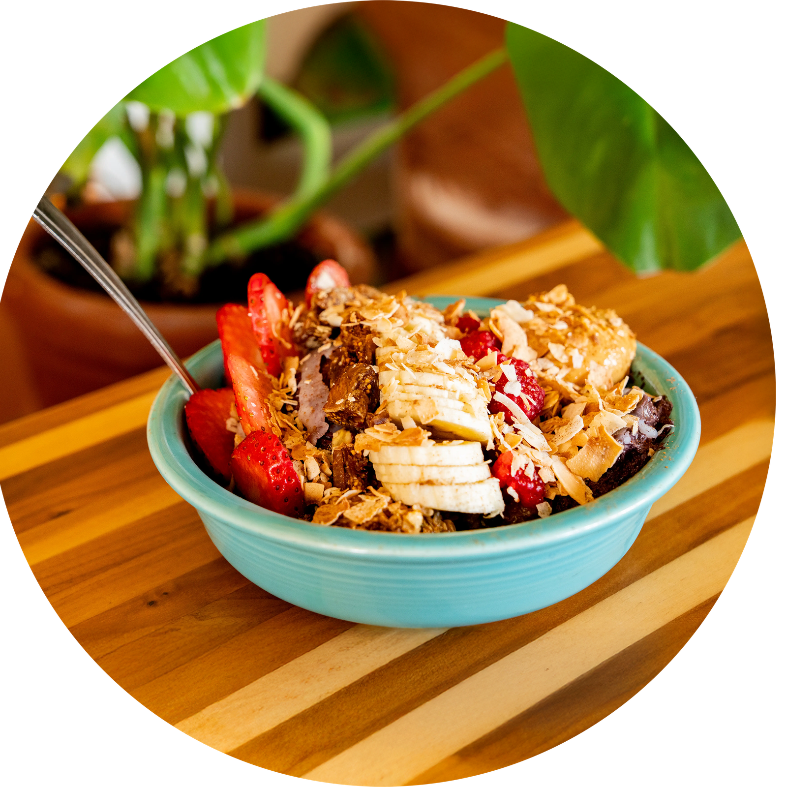 Carioca Bowls